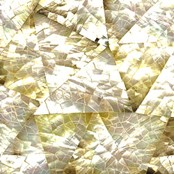 yellowlip shell tiles